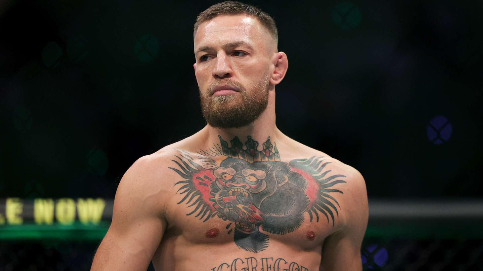 丝们的祝福 丝们的祝福