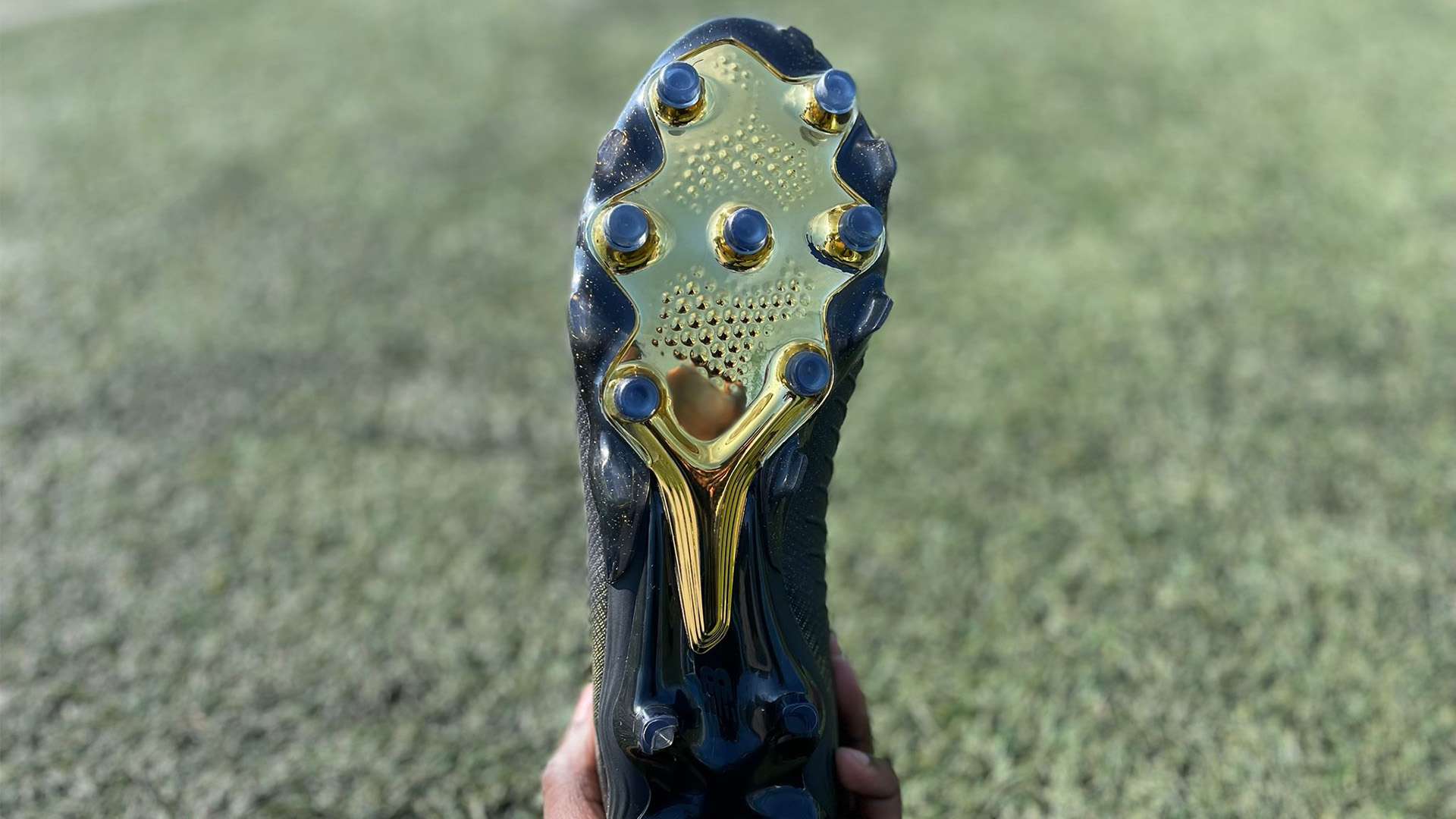 人大名单中 人大名单中